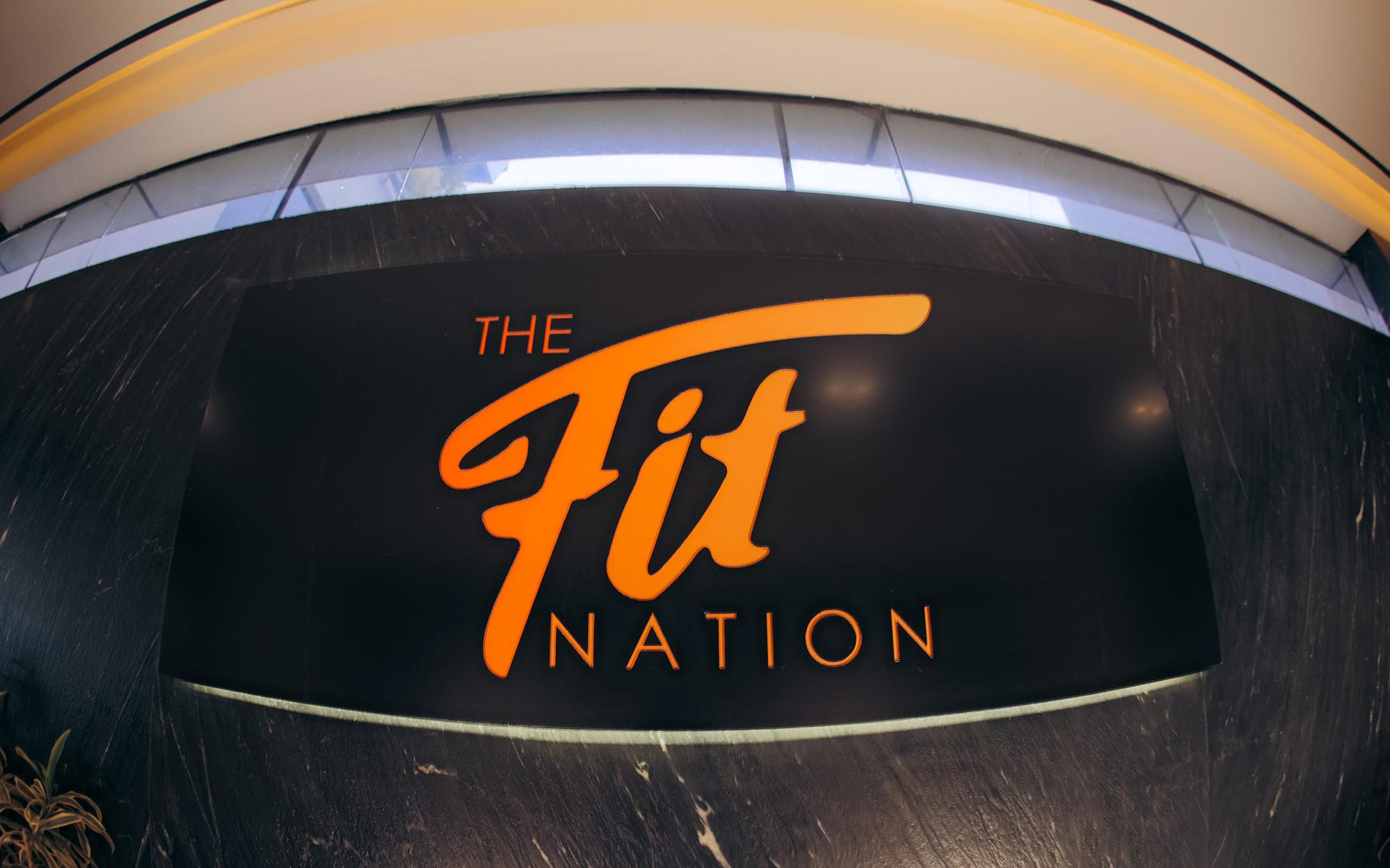 The Fit Nation_Best Gym in Bangalore_The Best Gym in Bangalore
